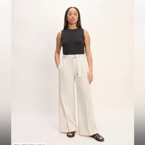 Everlane The Pleated Wide Leg Chino Pants